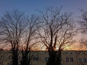 Sonnenuntergang in der Beimssiedlung