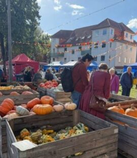 Kürbisfest